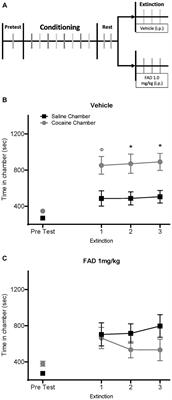 Estradiol reduction through aromatase inhibition impairs cocaine seeking in male rats